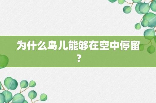 为什么鸟儿能够在空中停留？