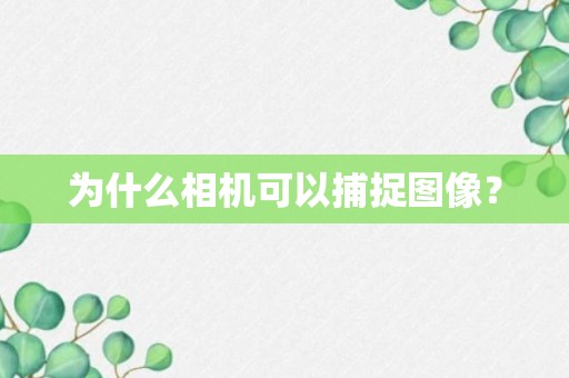 为什么相机可以捕捉图像？