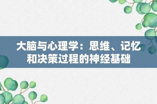 大脑与心理学：思维、记忆和决策过程的神经基础