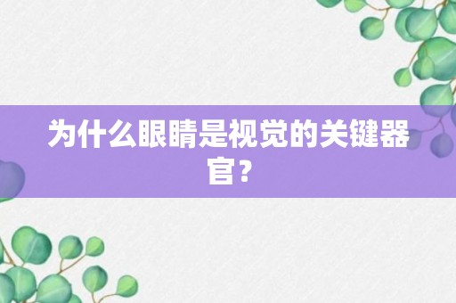 为什么眼睛是视觉的关键器官？