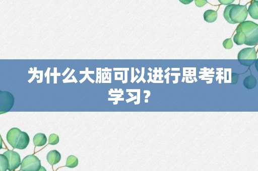 为什么大脑可以进行思考和学习？