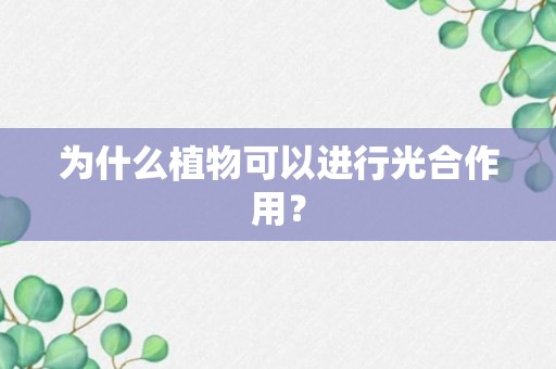 为什么植物可以进行光合作用？