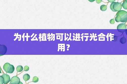 为什么植物可以进行光合作用？