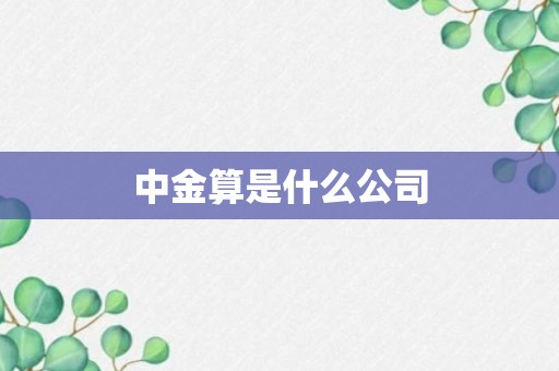 中金算是什么公司