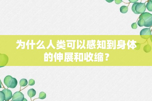 为什么人类可以感知到身体的伸展和收缩？