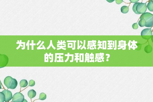 为什么人类可以感知到身体的压力和触感？