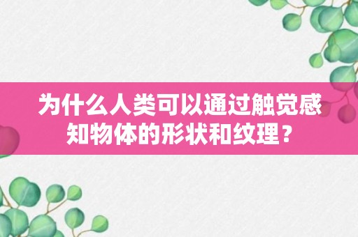 为什么人类可以通过触觉感知物体的形状和纹理？