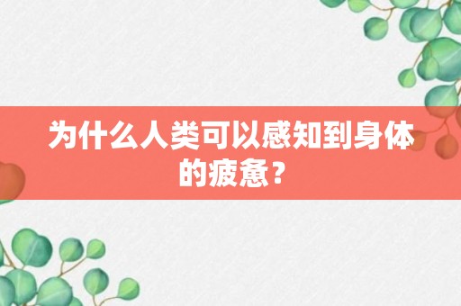 为什么人类可以感知到身体的疲惫？