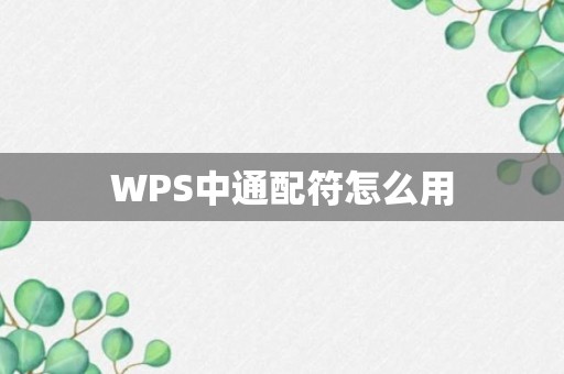 WPS中通配符怎么用