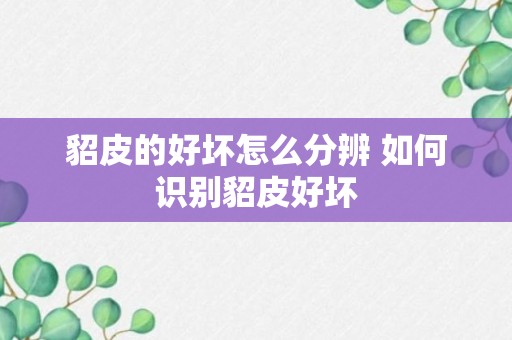 貂皮的好坏怎么分辨 如何识别貂皮好坏