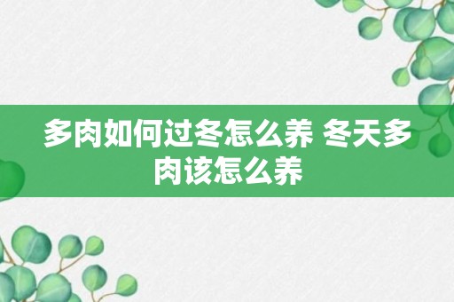 多肉如何过冬怎么养 冬天多肉该怎么养