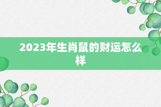 2023年生肖鼠的财运怎么样