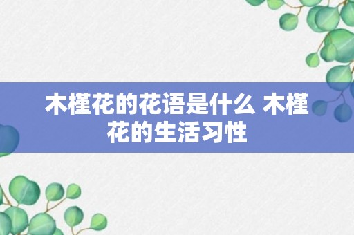 木槿花的花语是什么 木槿花的生活习性