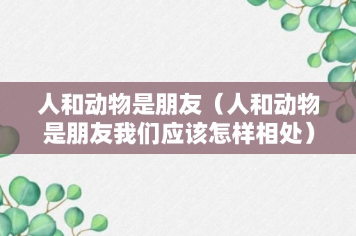 人和动物是朋友（人和动物是朋友我们应该怎样相处）