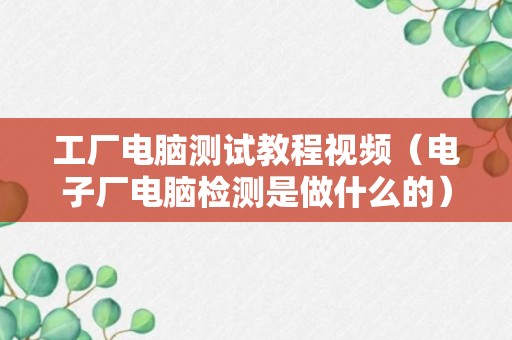 工厂电脑测试教程视频（电子厂电脑检测是做什么的）