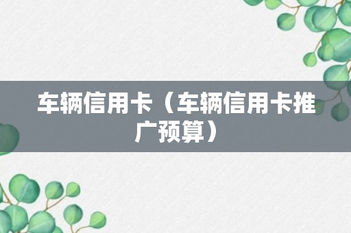 车辆信用卡（车辆信用卡推广预算）