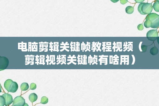 电脑剪辑关键帧教程视频（剪辑视频关键帧有啥用）