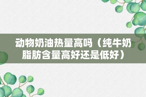 动物奶油热量高吗（纯牛奶脂肪含量高好还是低好）