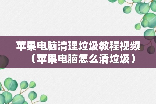 苹果电脑清理垃圾教程视频（苹果电脑怎么清垃圾）