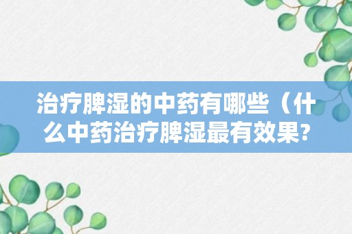 治疗脾湿的中药有哪些（什么中药治疗脾湿最有效果?）