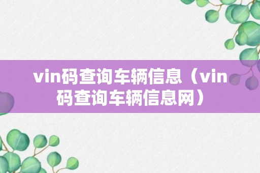 vin码查询车辆信息（vin码查询车辆信息网）