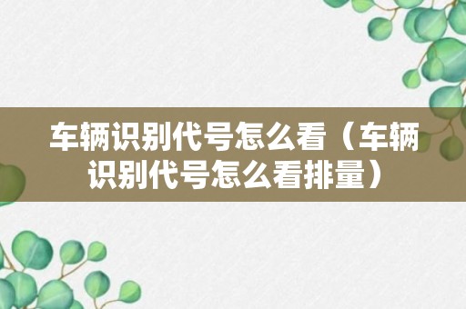 车辆识别代号怎么看（车辆识别代号怎么看排量）