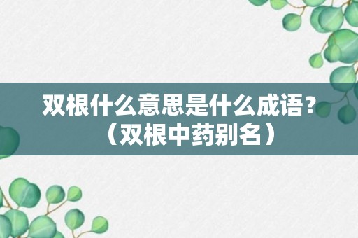 双根什么意思是什么成语？（双根中药别名）