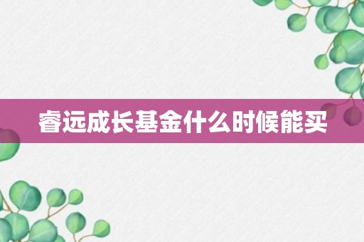 睿远成长基金什么时候能买