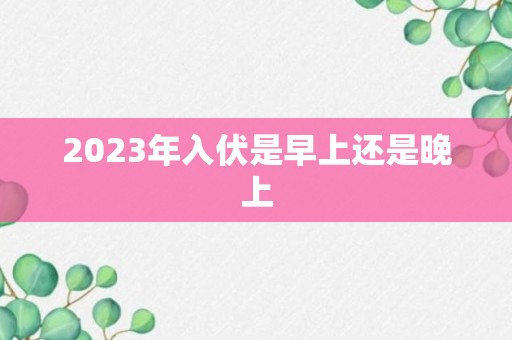 2023年入伏是早上还是晚上