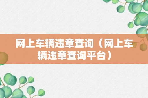 网上车辆违章查询（网上车辆违章查询平台）