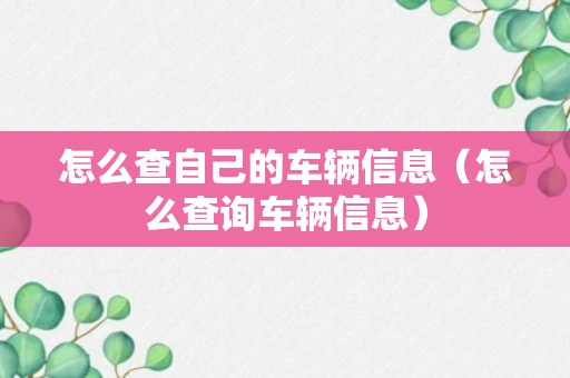 怎么查自己的车辆信息（怎么查询车辆信息）