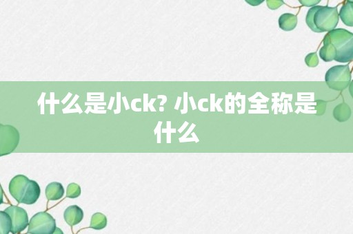 什么是小ck? 小ck的全称是什么