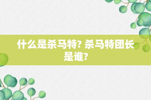 什么是杀马特? 杀马特团长是谁?