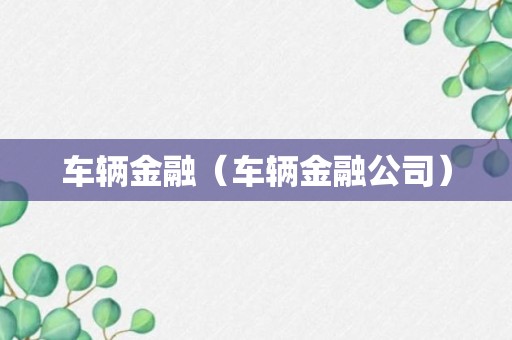 车辆金融（车辆金融公司）