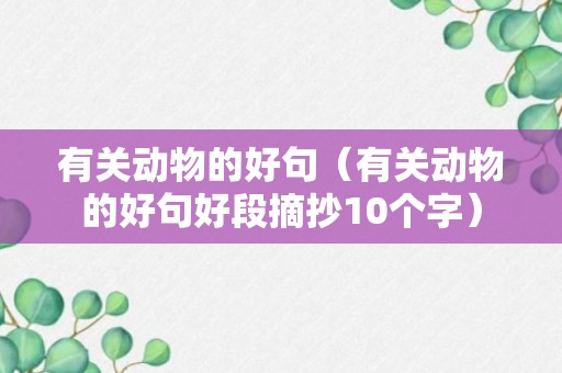 有关动物的好句（有关动物的好句好段摘抄10个字）