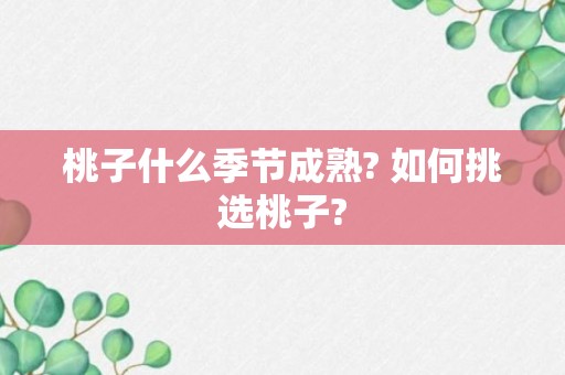 桃子什么季节成熟? 如何挑选桃子?