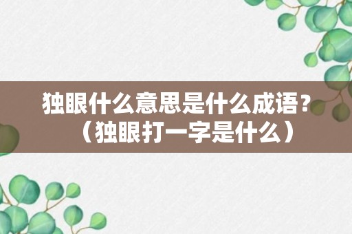 独眼什么意思是什么成语？（独眼打一字是什么）