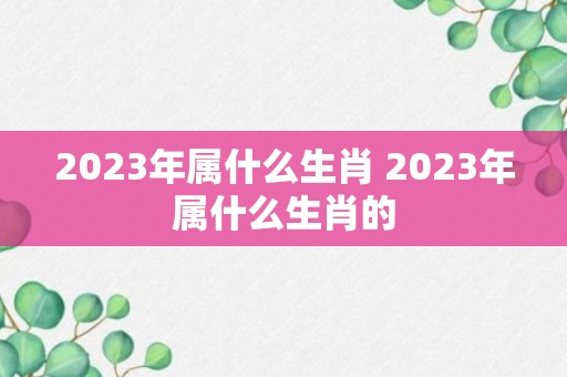 2023年属什么生肖 2023年属什么生肖的