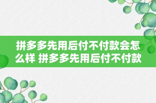 拼多多先用后付不付款会怎么样 拼多多先用后付不付款后果