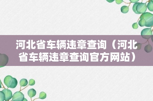 河北省车辆违章查询（河北省车辆违章查询官方网站）