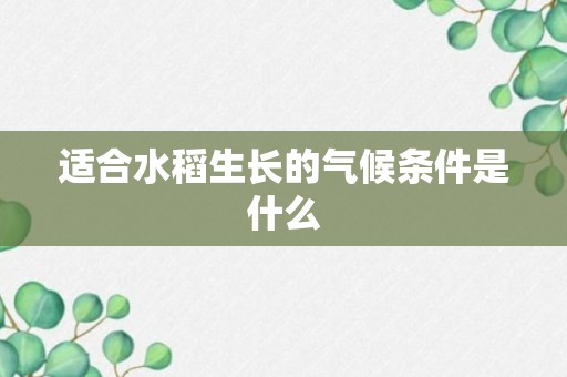 适合水稻生长的气候条件是什么