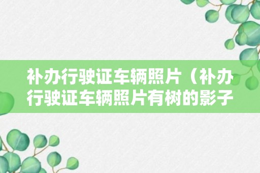 补办行驶证车辆照片（补办行驶证车辆照片有树的影子能行吗）