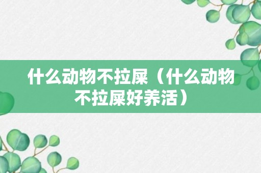 什么动物不拉屎（什么动物不拉屎好养活）