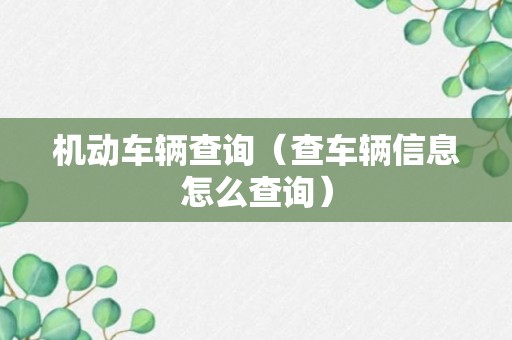 机动车辆查询（查车辆信息怎么查询）