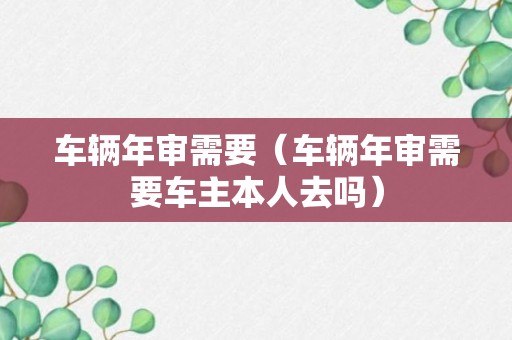 车辆年审需要（车辆年审需要车主本人去吗）