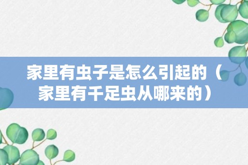 家里有虫子是怎么引起的（家里有千足虫从哪来的）