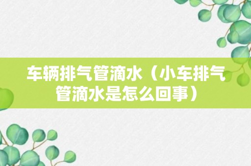 车辆排气管滴水（小车排气管滴水是怎么回事）