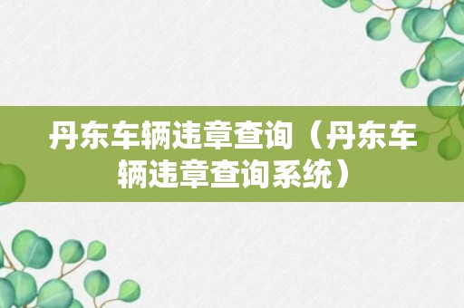 丹东车辆违章查询（丹东车辆违章查询系统）