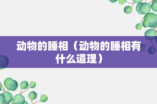 动物的睡相（动物的睡相有什么道理）