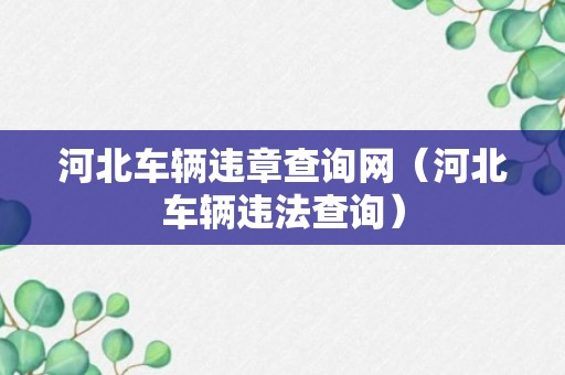 河北车辆违章查询网（河北车辆违法查询）